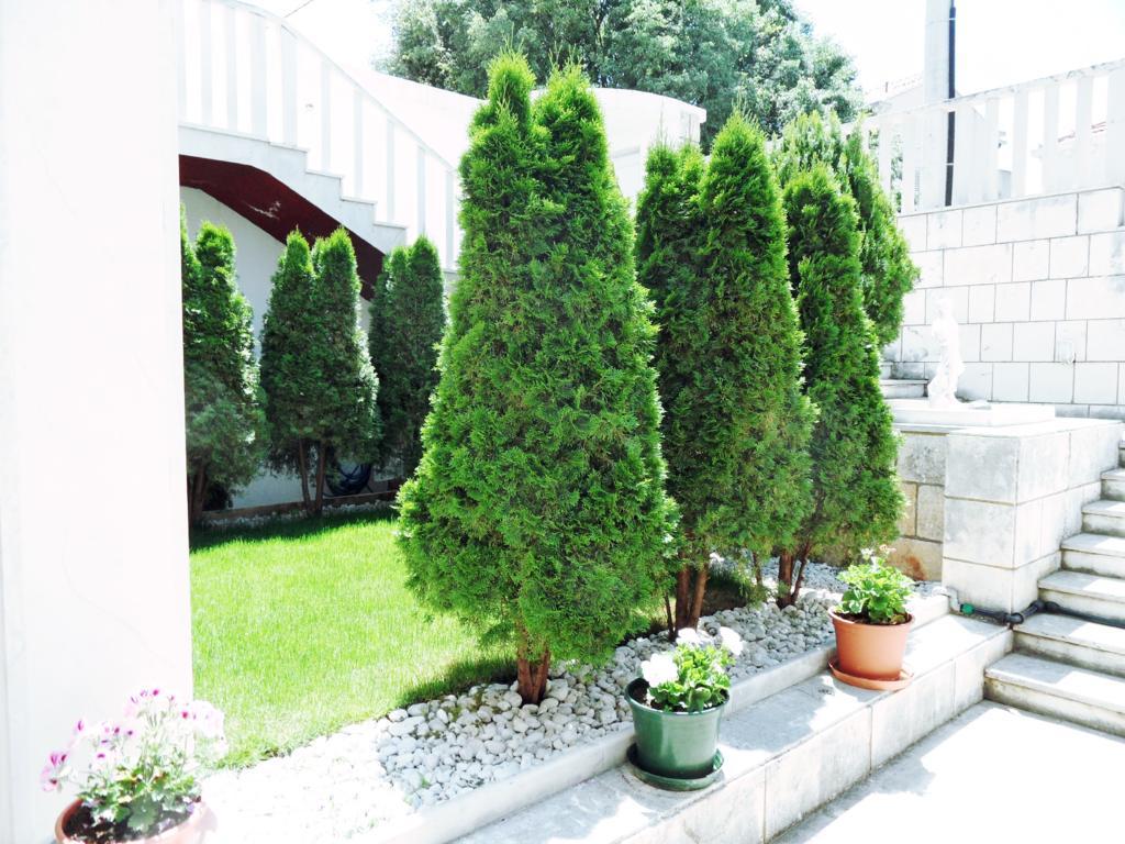 Adria Apartments And Rooms Дубровник Экстерьер фото